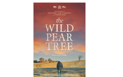 The Wild Pear Tree (Dir: Nuri Bilge Ceylan, Turkey, 2018)
