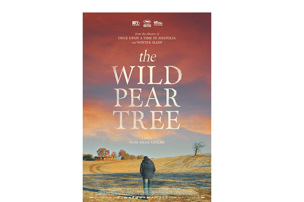 The Wild Pear Tree (Dir: Nuri Bilge Ceylan, Turkey, 2018)